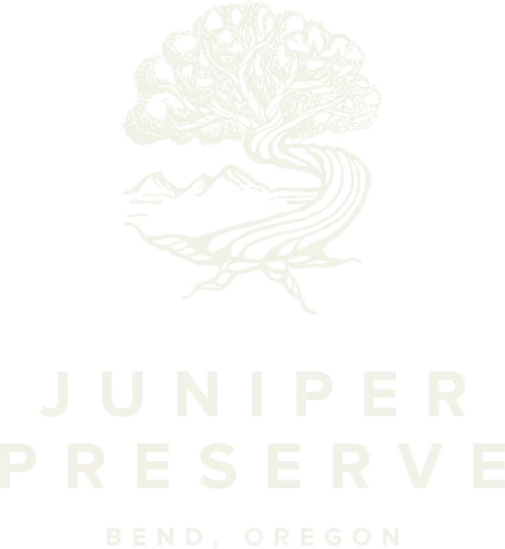 JP Logo tree Ivory 737x800